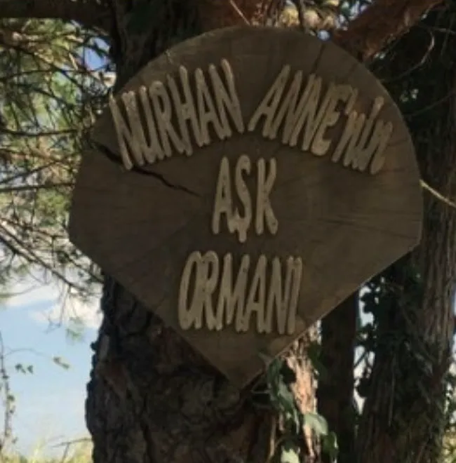 Ağaca asılı ahşap tabela: Nurhan Annemin Aşk Ormanı